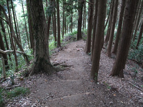 20171005hike (166)